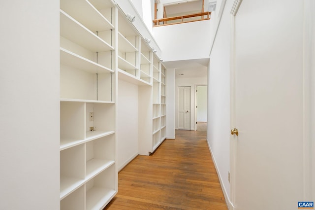 906 Old Farm Rd, Charlottesville, VA 22903 - walk in closet featuring wood finished floors