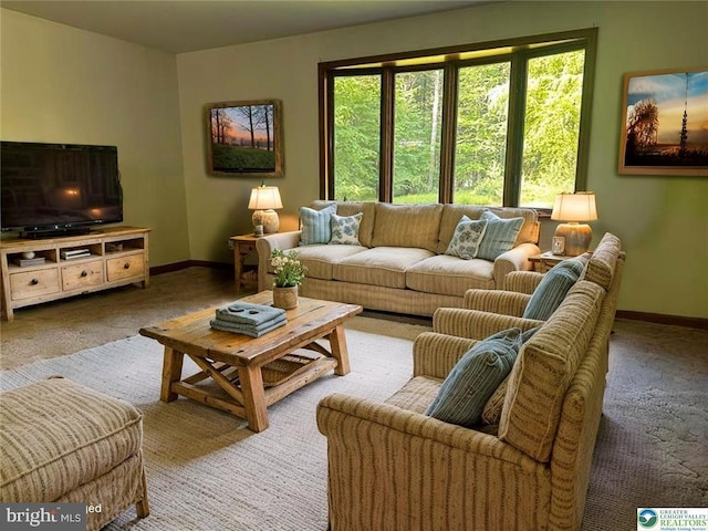 93 Sassafras, Lehighton, PA 18235 - living room with baseboards and carpet flooring