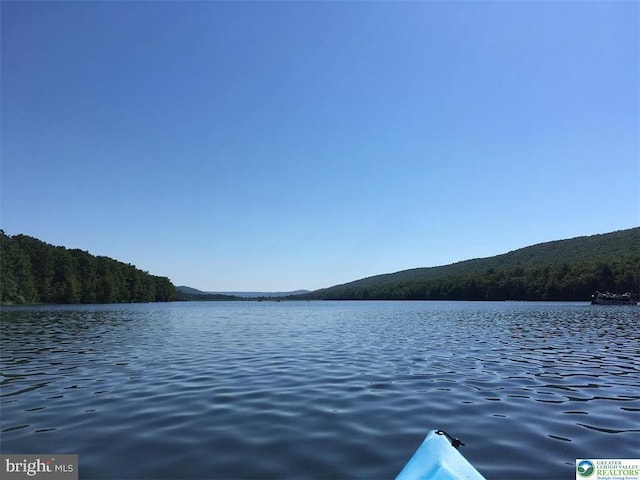 93 Sassafras, Lehighton, PA 18235 - water view featuring a heavily wooded area