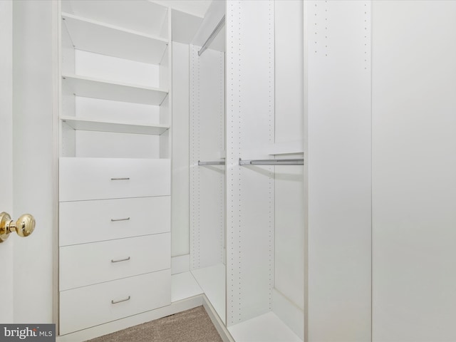 5220 Earles Ct, Frederick, MD 21703 - view of walk in closet