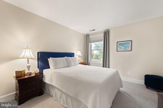 317 10th St NE Unit 13, Washington, DC 20002 - bedroom featuring light colored carpet and baseboards