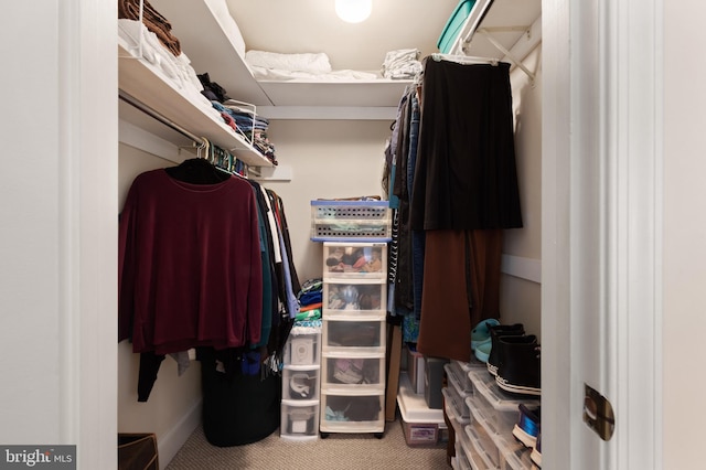317 10th St NE Unit 13, Washington, DC 20002 - spacious closet with carpet floors
