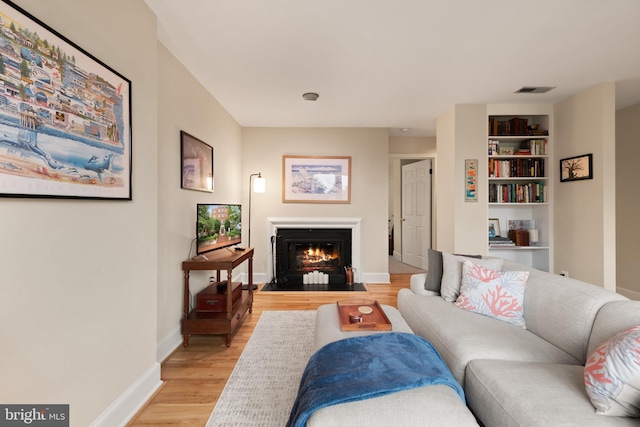317 10th St NE Unit 13, Washington, DC 20002 - living room with light wood finished floors and a fireplace with flush hearth