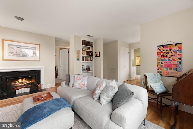 317 10th St NE Unit 13, Washington, DC 20002 - living room featuring light wood-style floors and a glass covered fireplace