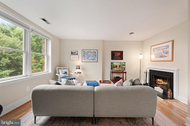 317 10th St NE Unit 13, Washington, DC 20002 - living room featuring wood finished floors and a warm lit fireplace