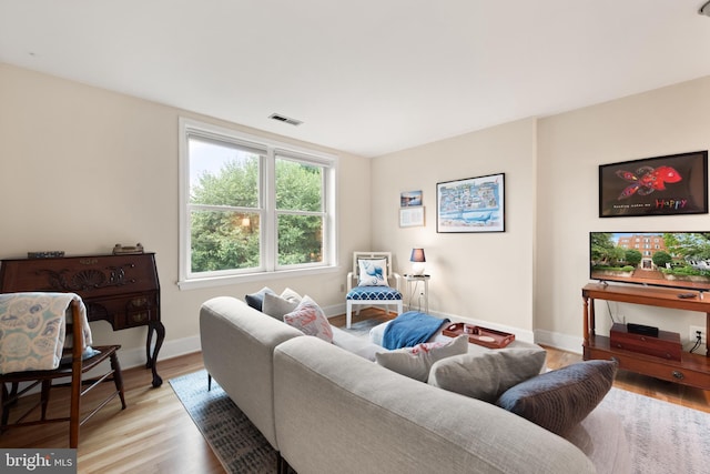317 10th St NE Unit 13, Washington, DC 20002 - living area featuring light wood-style flooring and baseboards