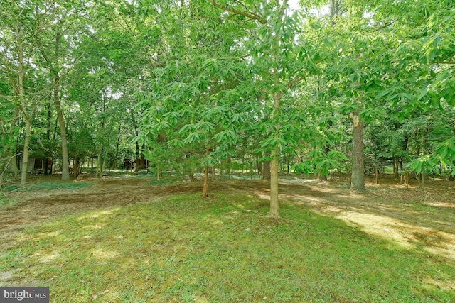 34 Barrett Ave, Hammonton, NJ 08037 - view of yard