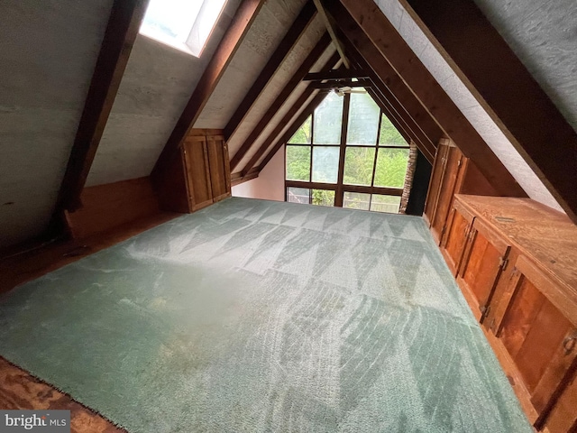 175 Howellsville Rd, Front Royal, VA 22630 - attic featuring a skylight