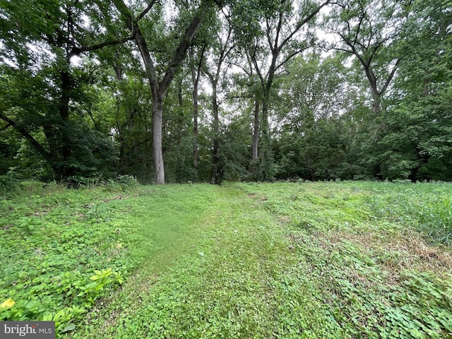 175 Howellsville Rd, Front Royal, VA 22630 - view of yard with a wooded view