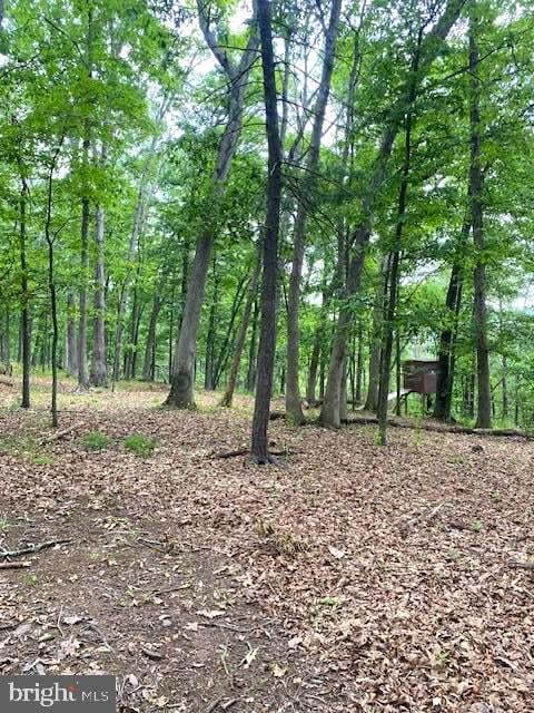 12809 Ballfield Rd NE, Little Orleans, MD 21766 - view of undeveloped land