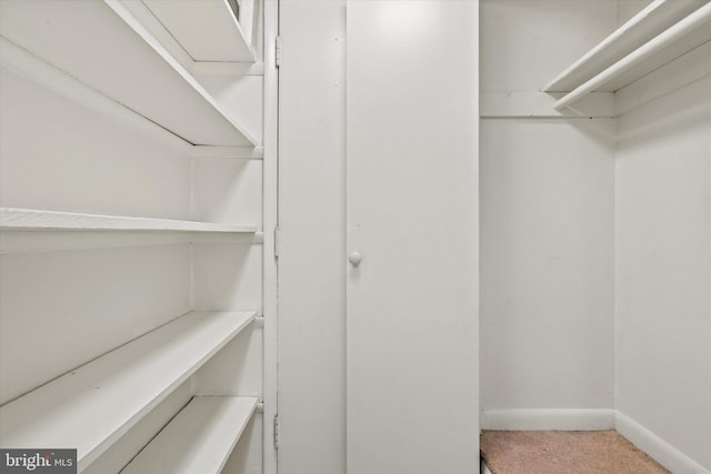 7753 Donnybrook Ct Unit 103, Annandale, VA 22003 - spacious closet with carpet