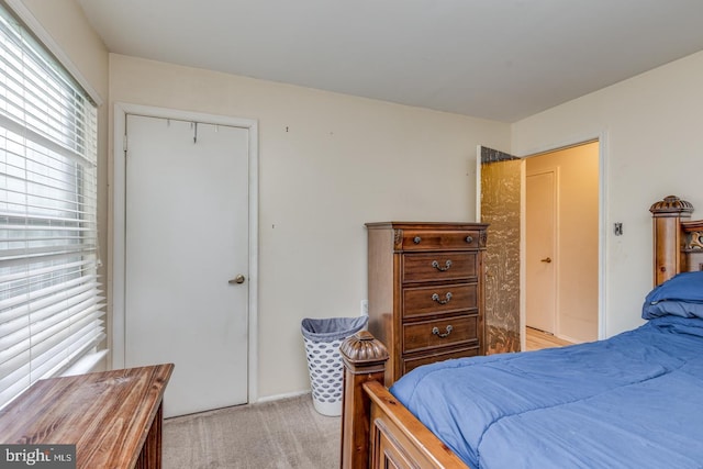 9 Village Ct, Mount Laurel, NJ 08054 - bedroom featuring light carpet and a closet