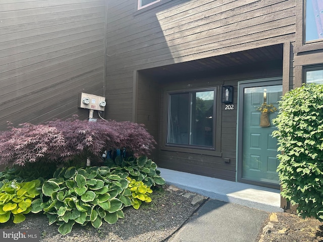 202 Village Rd, Orwigsburg, PA 17961 - view of exterior entry
