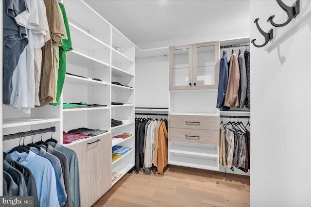 2618 E Hagert St, Philadelphia, PA 19125 - walk in closet with light wood-style flooring