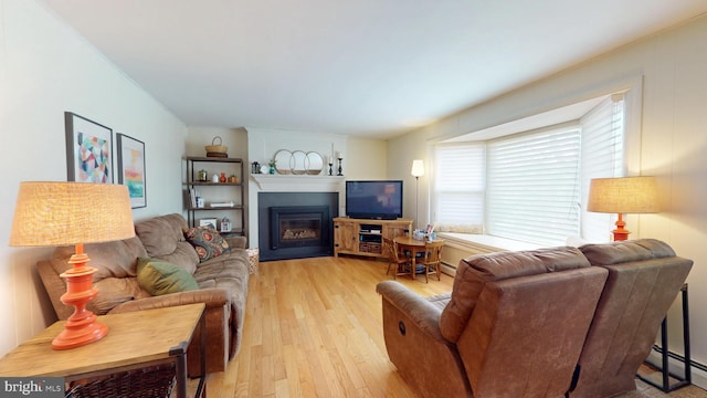 1047 Brookfield Cir, Quakertown, PA 18951 - living area featuring baseboard heating, light wood finished floors, and a fireplace
