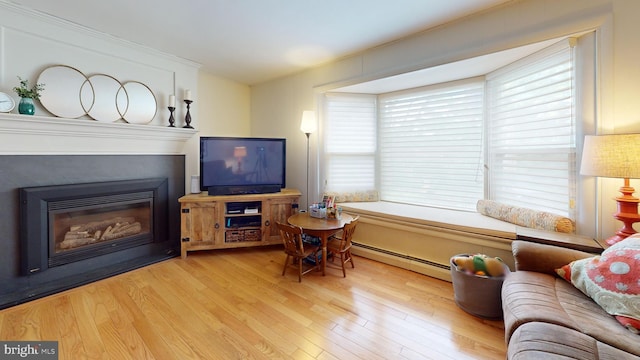 1047 Brookfield Cir, Quakertown, PA 18951 - living room featuring a baseboard radiator, light wood-type flooring, and a glass covered fireplace