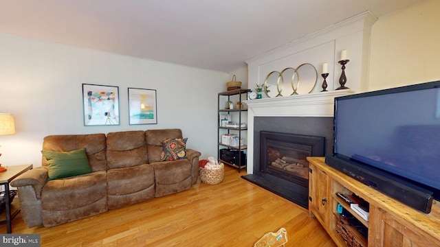 1047 Brookfield Cir, Quakertown, PA 18951 - living area featuring light wood finished floors and a glass covered fireplace