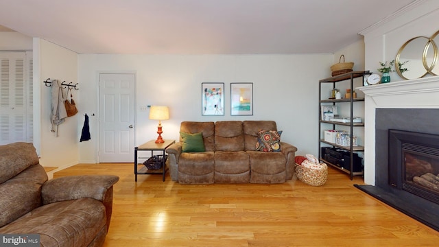 1047 Brookfield Cir, Quakertown, PA 18951 - living area featuring a glass covered fireplace and light wood-style flooring