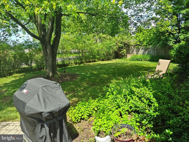 1047 Brookfield Cir, Quakertown, PA 18951 - view of yard