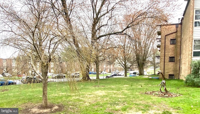 2205 Greenery Ln Unit 104-9, Silver Spring, MD 20906 - view of yard