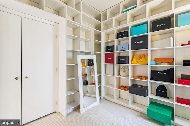 3042 R St NW Unit 2, Washington, DC 20007 - view of storage