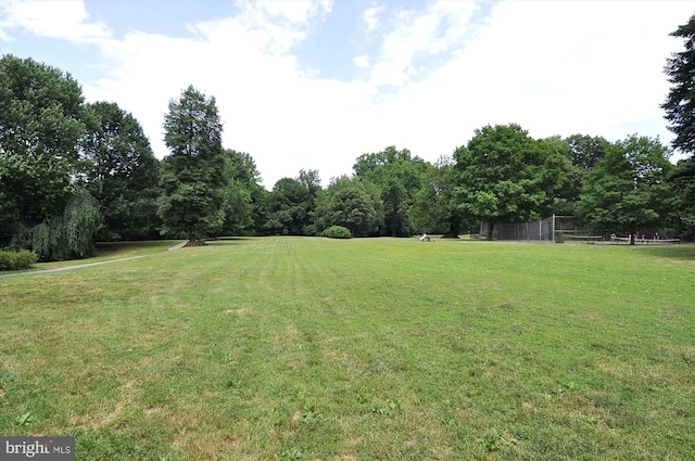 3042 R St NW Unit 2, Washington, DC 20007 - view of green lawn