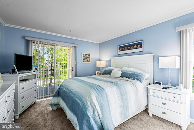 564 Astor Sq, West Chester, PA 19380 - carpeted bedroom with access to exterior and ornamental molding