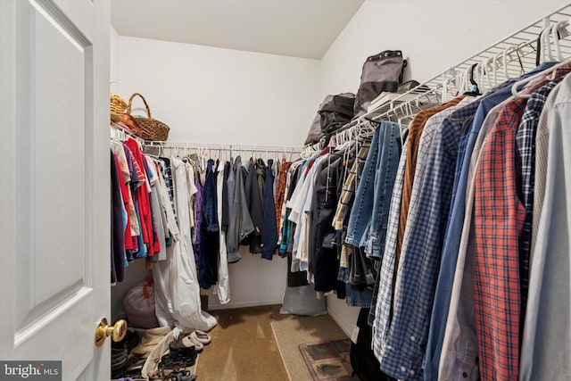 302 Cressent Ct, East Fallowfield Township, PA 19320 - walk in closet with carpet flooring