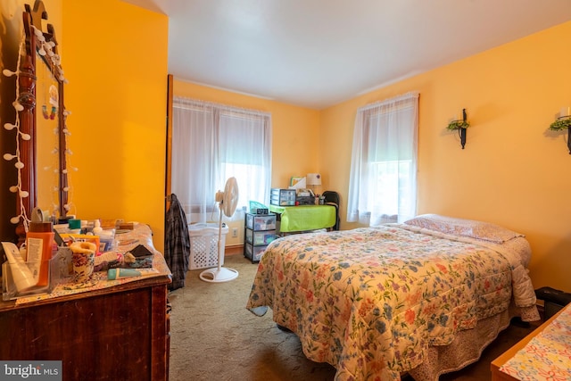 519 Jefferson St, East Greenville, PA 18041 - bedroom featuring multiple windows and carpet flooring