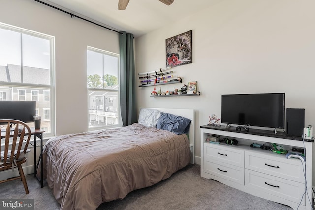 17153 Cumberland Height Dr, Dumfries, VA 22026 - bedroom featuring multiple windows and light colored carpet