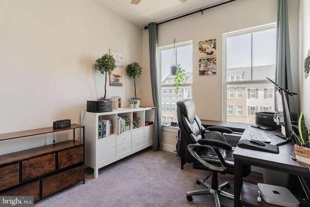 17153 Cumberland Height Dr, Dumfries, VA 22026 - office space featuring carpet and ceiling fan