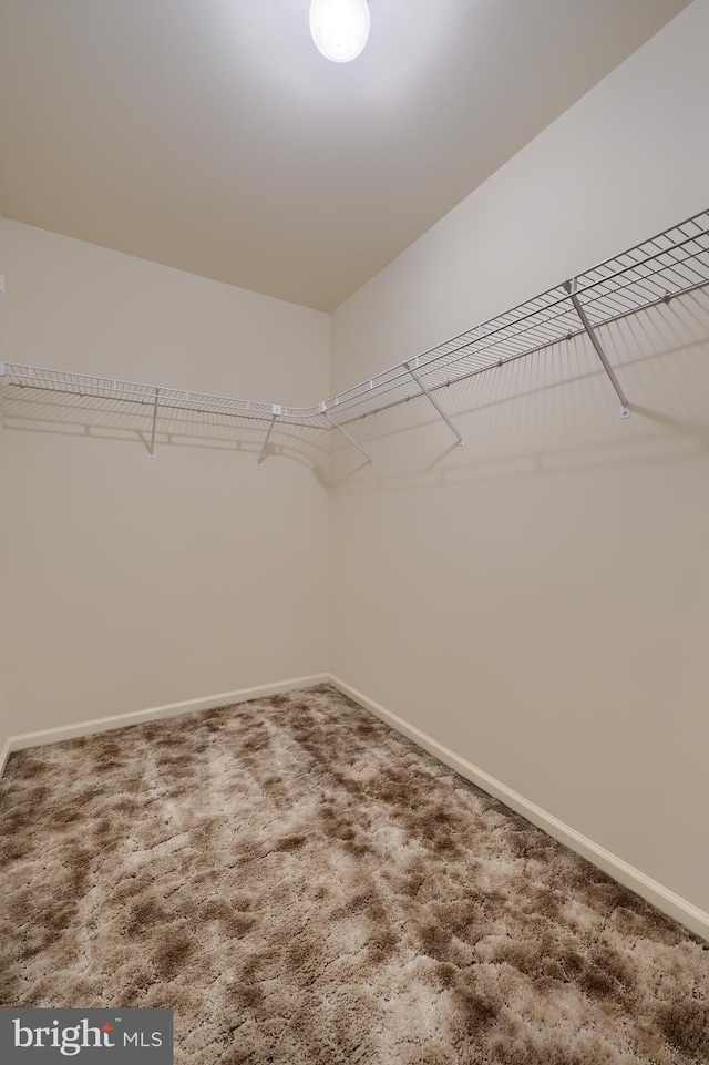 15 Jason Ave, Denver, PA 17517 - spacious closet with carpet floors