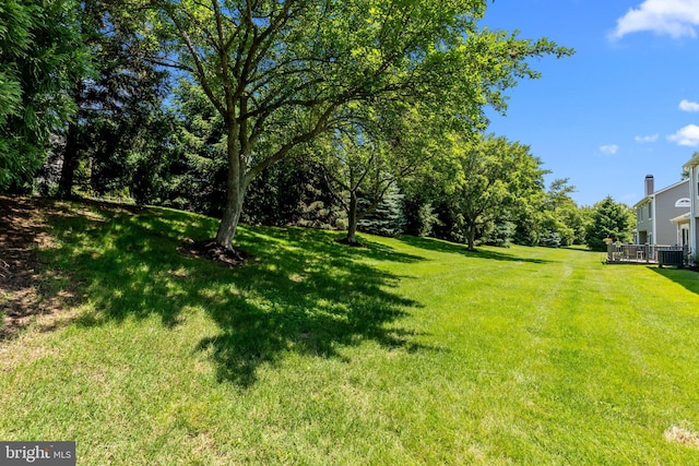 907 Potters Pl, Southampton, PA 18966 - view of green lawn