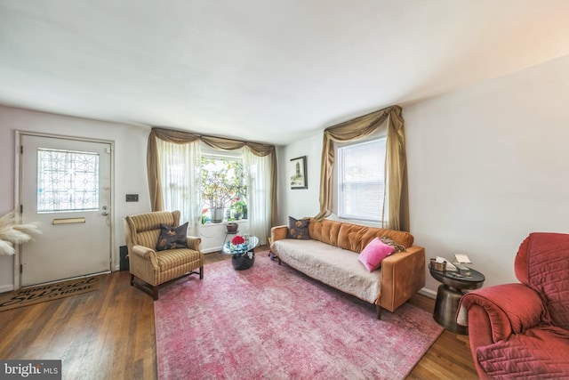 712 Chesapeake St SE, Washington, DC 20032 - living room featuring wood finished floors