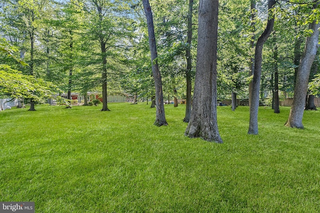 25 Oriole Way, Moorestown, NJ 08057 - view of grassy yard