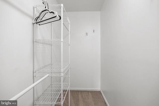 2193 Harbour Dr, Palmyra, NJ 08065 - spacious closet featuring carpet floors
