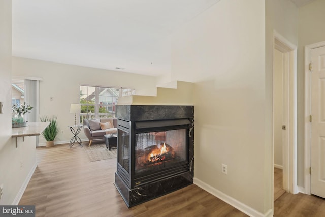 622 Main St Unit 622B, Gaithersburg, MD 20878 - detailed view of a multi sided fireplace and wood finished floors