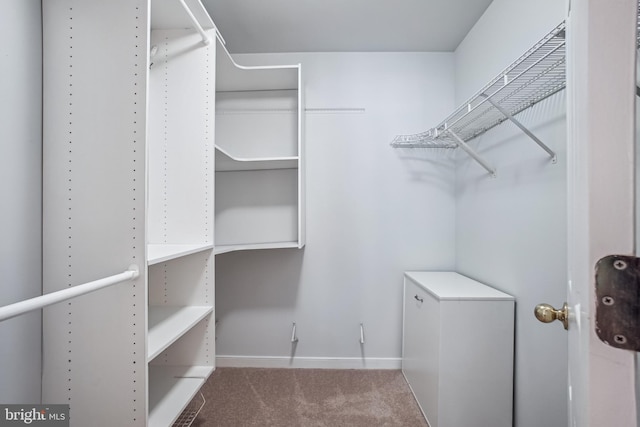 3818 White Post Ct, Alexandria, VA 22304 - walk in closet with carpet floors