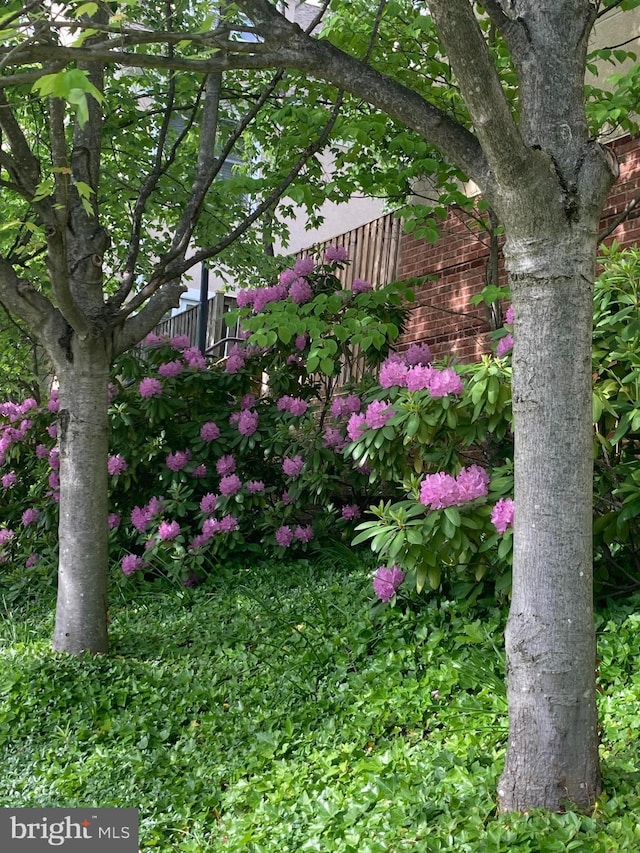 3818 White Post Ct, Alexandria, VA 22304 - view of yard
