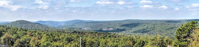 532 Buck Mountain Blvd, Hazle Township, PA 18202 - view of mountain background with a forest
