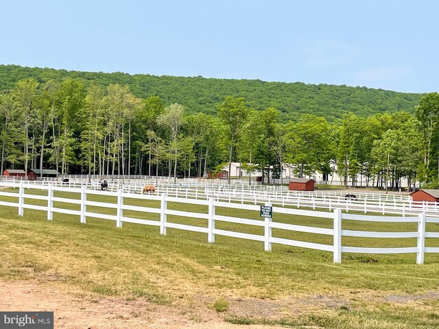 532 Buck Mountain Blvd, Hazle Township, PA 18202 - view of yard featuring a view of trees