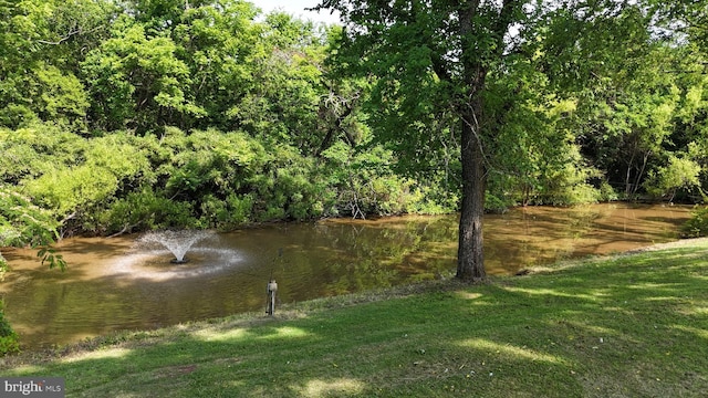 12353 Barbee Rd, Bristow, VA 20136 - water view featuring a heavily wooded area