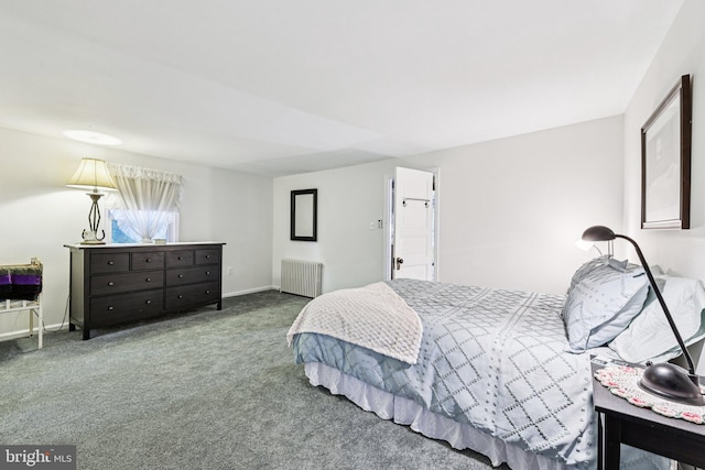 12353 Barbee Rd, Bristow, VA 20136 - bedroom featuring radiator heating unit and carpet flooring