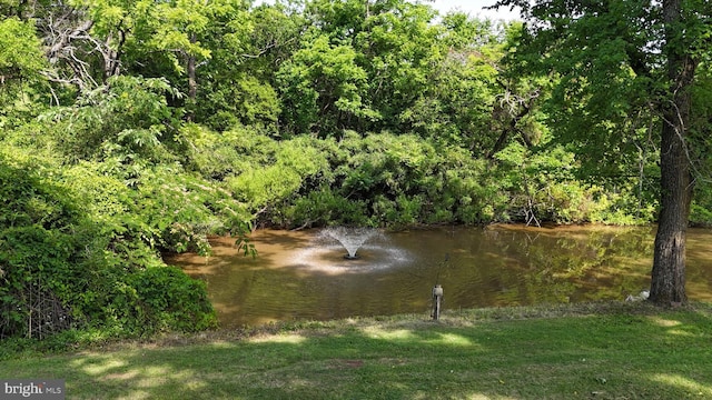 12353 Barbee Rd, Bristow, VA 20136 - water view featuring a heavily wooded area