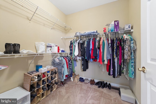10112 Collington Campus Dr Unit 7, Bowie, MD 20721 - spacious closet featuring carpet