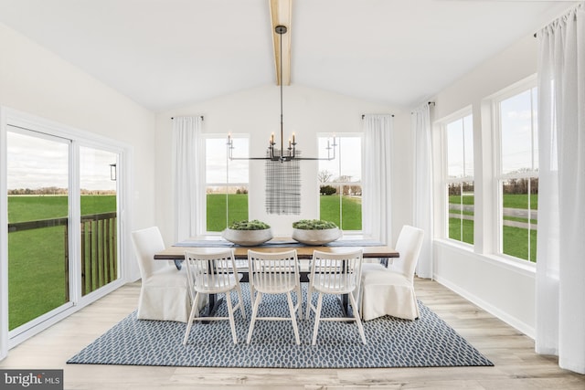 20 Hidden Brook Blvd, Dover, DE 19904 - dining space with plenty of natural light, wood finished floors, and a chandelier