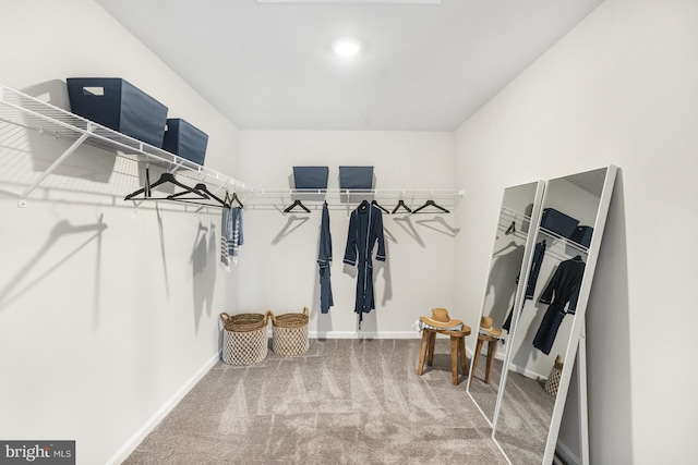 20 Hidden Brook Blvd, Dover, DE 19904 - walk in closet featuring carpet