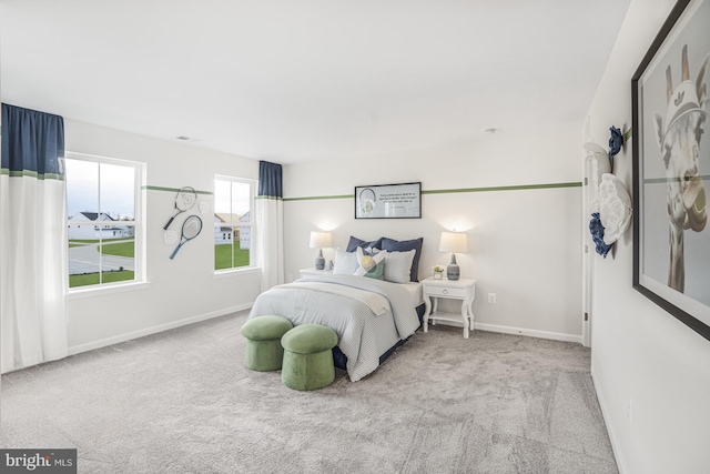 20 Hidden Brook Blvd, Dover, DE 19904 - carpeted bedroom with baseboards