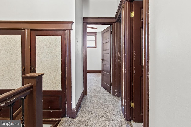 2904 N Taney St, Philadelphia, PA 19132 - corridor with carpet floors and baseboards