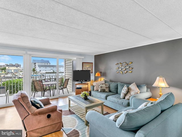 107 Convention Center Dr Unit 1410D, Ocean City, MD 21842 - living area with a textured ceiling and wood finished floors
